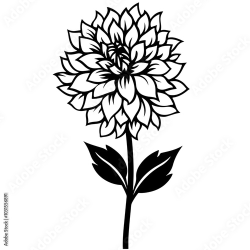 Dahlia Flower Front