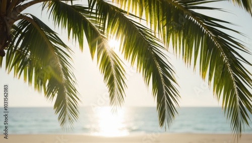 Sunlight Rays Through Tropical Palm Trees on Beach.