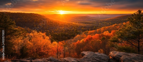 Golden sunset over a vast forest with fall foliage.