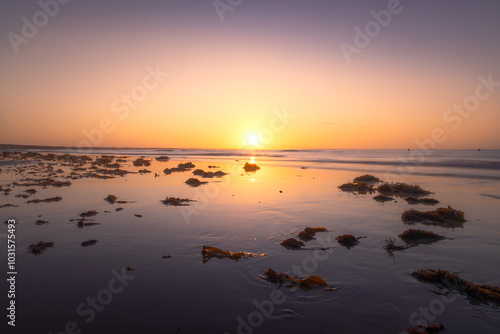 Sunset over beach with seaweed and calm waters in Barwon Heads photo