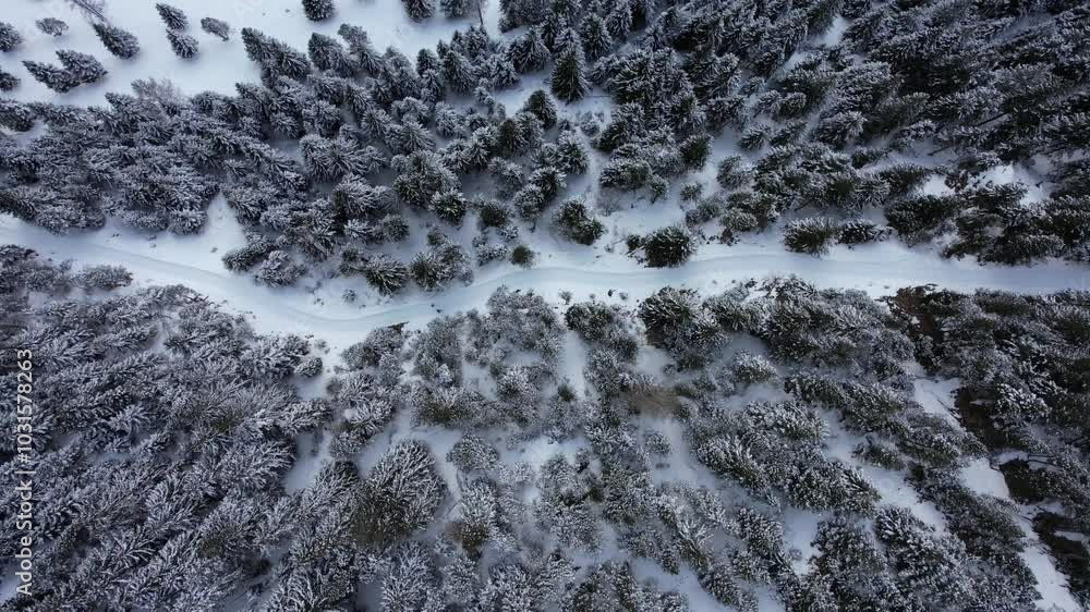 Aerial top down of snow-covered mountain path with snowcapped fir trees in winter season. Birds Eye forward shot. Aerial top down of snow-covered mountain path with snowcapped fir trees in winter season. Birds Eye forward shot.