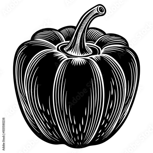 capsicum silhouette 
vector illustration on a white background