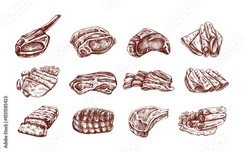 Set of hand-drawn colored and monochrome sketches of meat pieces, beef steak, ham, pork. Fresh meat products. For the design of menu, butcher shop. Vintage engraved.