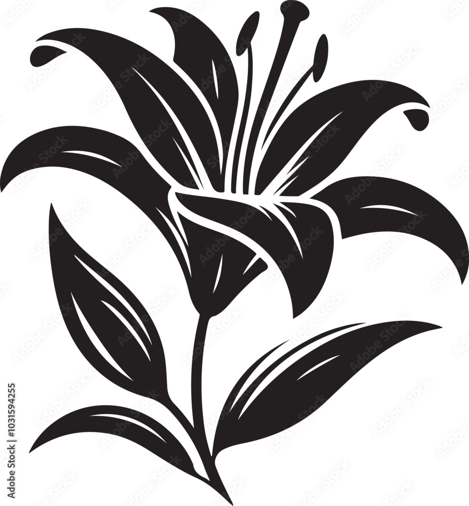 Flower vector illustration design and silhouette Flower vector illustration design and silhouette