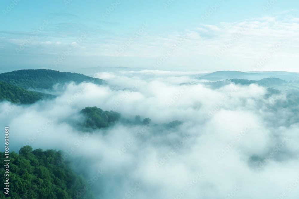 Obraz premium White Thick Fog Background in Nature