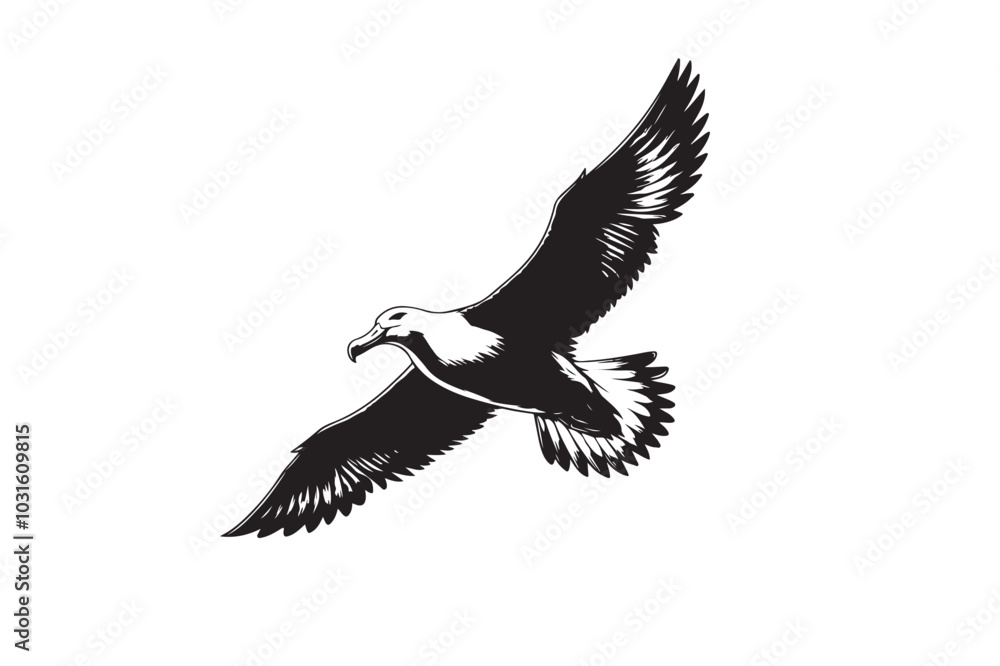 Albatross Silhouette Vector Illustration – Perfect for T-Shirts, Hoodies & Décor Albatross Silhouette Vector Illustration – Perfect for T-Shirts, Hoodies & Décor