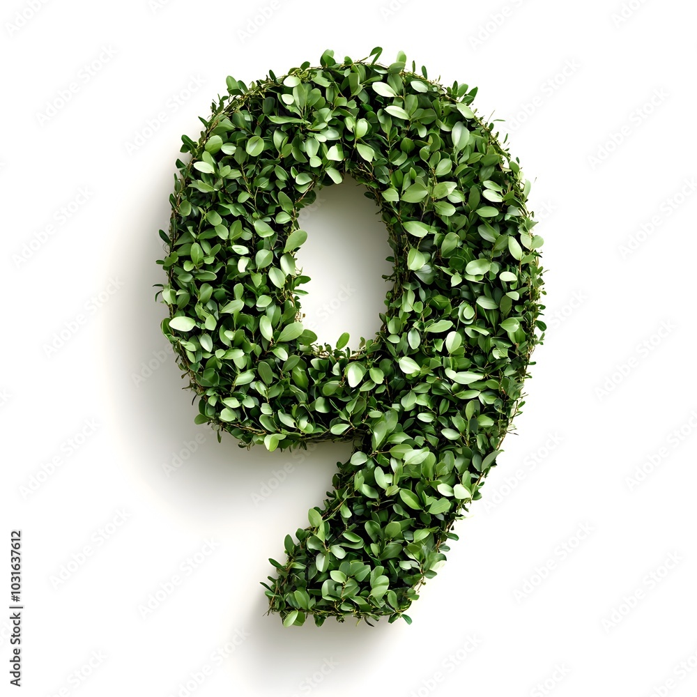 Shrub formed Numeral 9 on White Background Shrub formed Numeral 9 on White Background