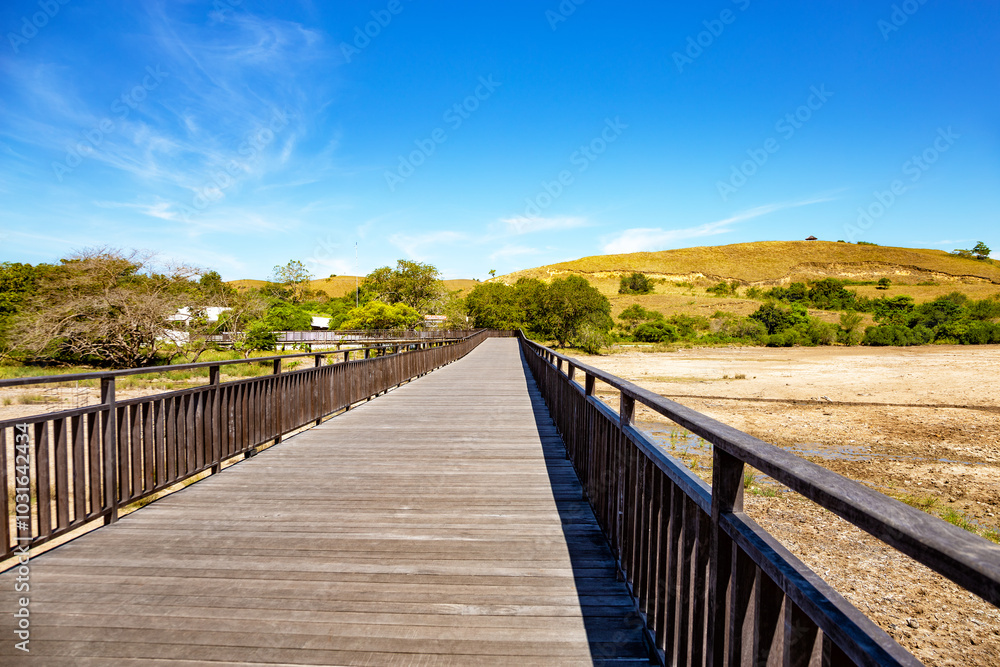Fototapeta premium Walking trail, Island Rinca, Komodo National Park, Flores, Indonesia, Southeast Asia.