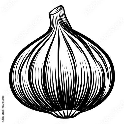 garlic silhouette 
 isolated on white background