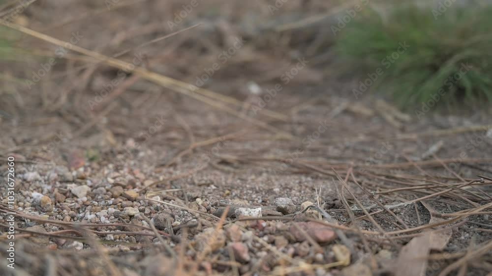 Rocks falling in slow motion Rocks falling in slow motion