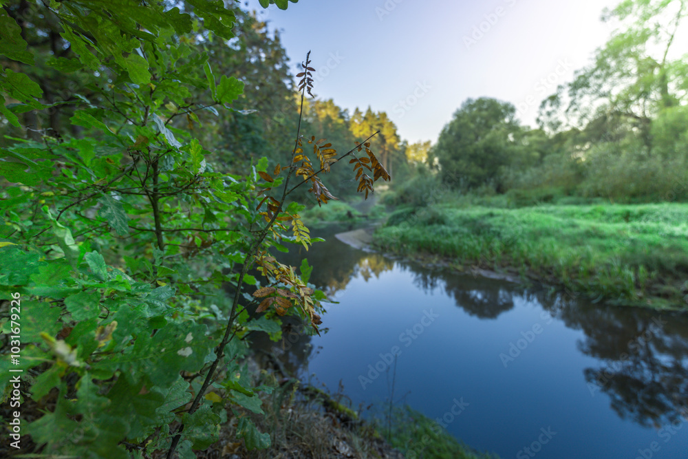 A river with a tree in the foreground A river with a tree in the foreground