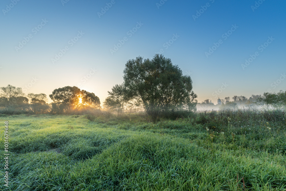 A field of grass with a tree in the middle and a sun in the sky A field of grass with a tree in the middle and a sun in the sky