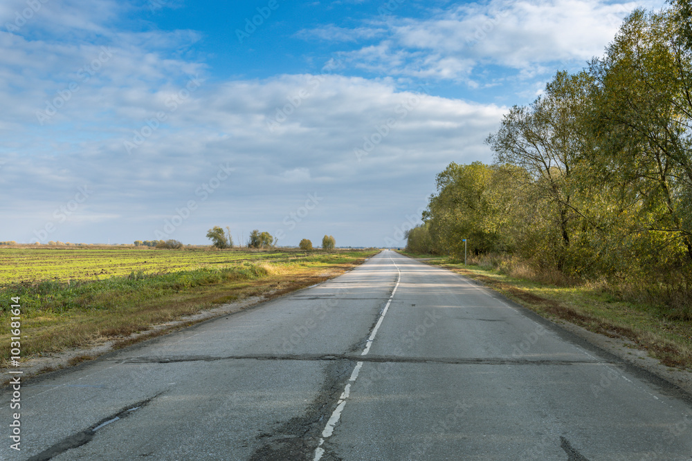 Fototapeta premium A road with a few trees in the background