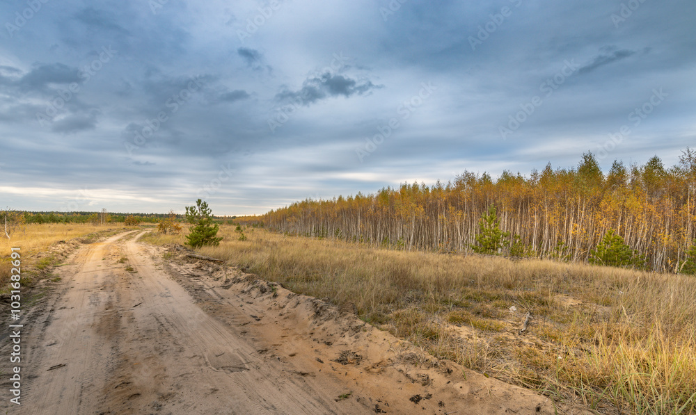 A dirt road in a field with trees in the background A dirt road in a field with trees in the background
