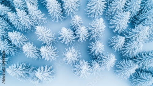 Aerial view of frosted evergreen trees against a soft blue background.