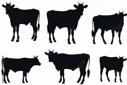vector silhouette set of cow