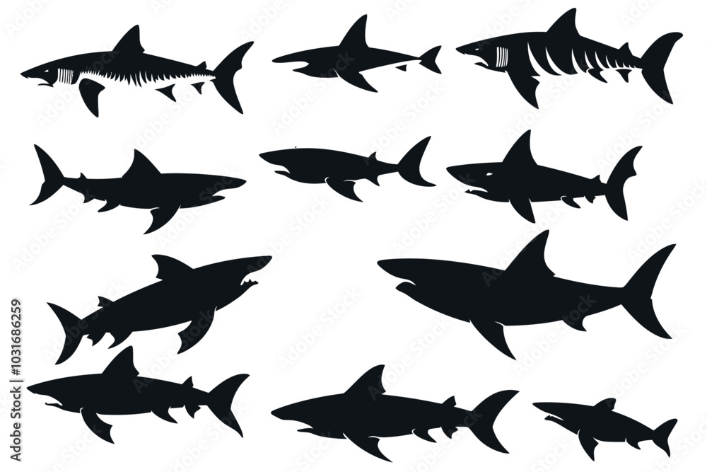 vector silhouette set of shark vector silhouette set of shark