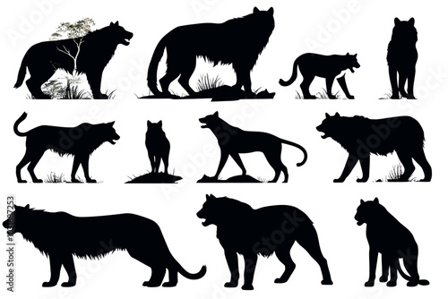 Victor silhouette of a set of carnivores on white background