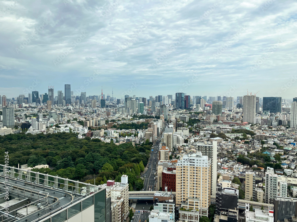 Obraz premium 東京