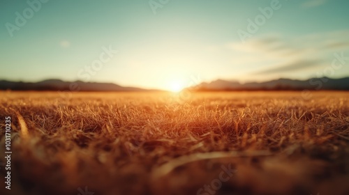 A sunlit grassy field at dawn, with a silhouette of distant mountains, embodying tranquility, serenity, and the simple beauty of a new day beginning. photo