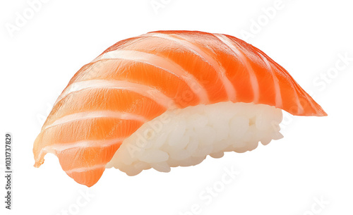 High-Quality PNG of Sake sushi on transparent background. png file – High Resolution