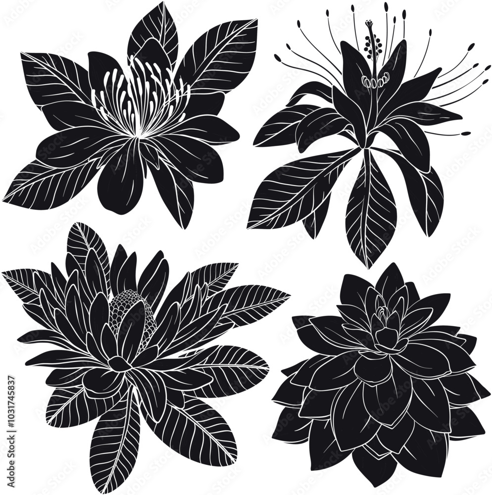 Obraz premium Tropical flowers and leaves. Vector exotic set, Black and white