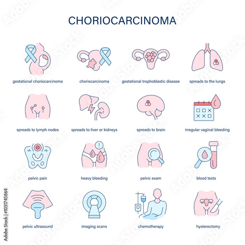 Choriocarcinoma symptoms, diagnostic and treatment vector icons. Medical icons. photo