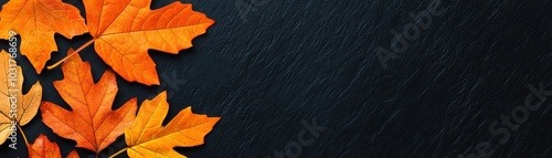 Wallpaper Mural Autumn leaves on a dark background, showcasing vibrant orange colors and natural textures. Torontodigital.ca