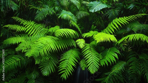 Lush green ferns create a vibrant display, showcasing the beauty of plant life in a rich, tropical environment.