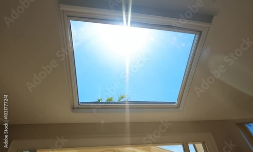 A view of the bright blue sky through a skylight in a home, with a flat roof and green plants growing on the roof.
