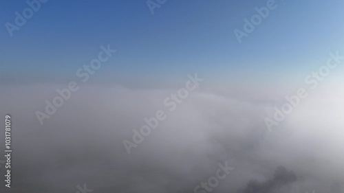 Autumn October morning, foggy, cool, changing colors forest, natural landscape, fields, meadows.