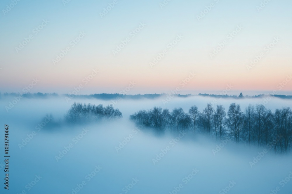 Fototapeta premium Fog Background in Nature