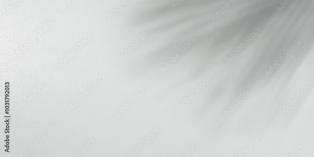 Obraz premium palm leaf isolated on white cement background