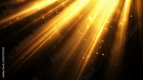 Golden Light Rays Creating Dreamy Atmosphere