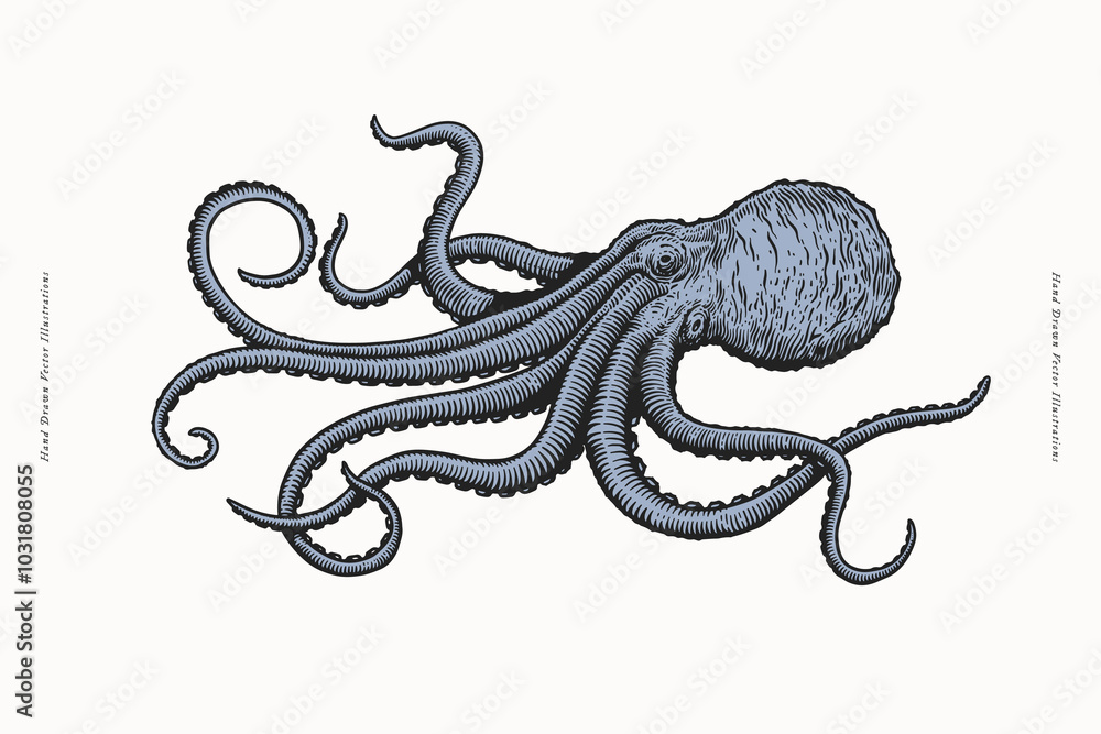 Obraz premium Hand-drawn vector illustration of an octopus with swirling tentacles, capturing the beauty and mystery of marine life in a vintage style.