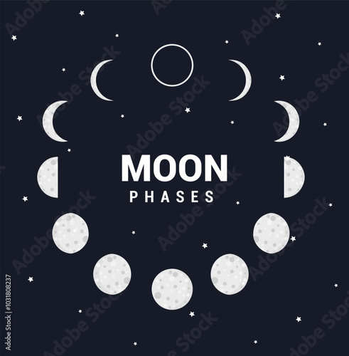 Moon phases illustration