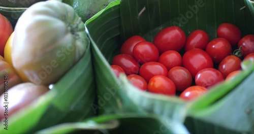 A selection of homegrown organic tomatoes cherry tomatoes in eco-friendly packaging.