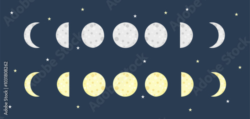 Moon phases illustration