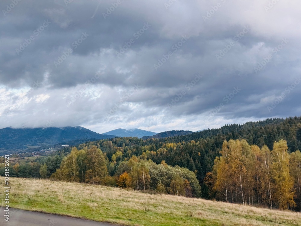 autumn landscape in the mountains, A distant mountain fades into the mist as it settles, while a bright yellow forest lines the road in the foreground. Perfect for capturing autumn beauty and scenic t autumn landscape in the mountains, A distant mountain fades into the mist as it settles, while a bright yellow forest lines the road in the foreground. Perfect for capturing autumn beauty and scenic t
