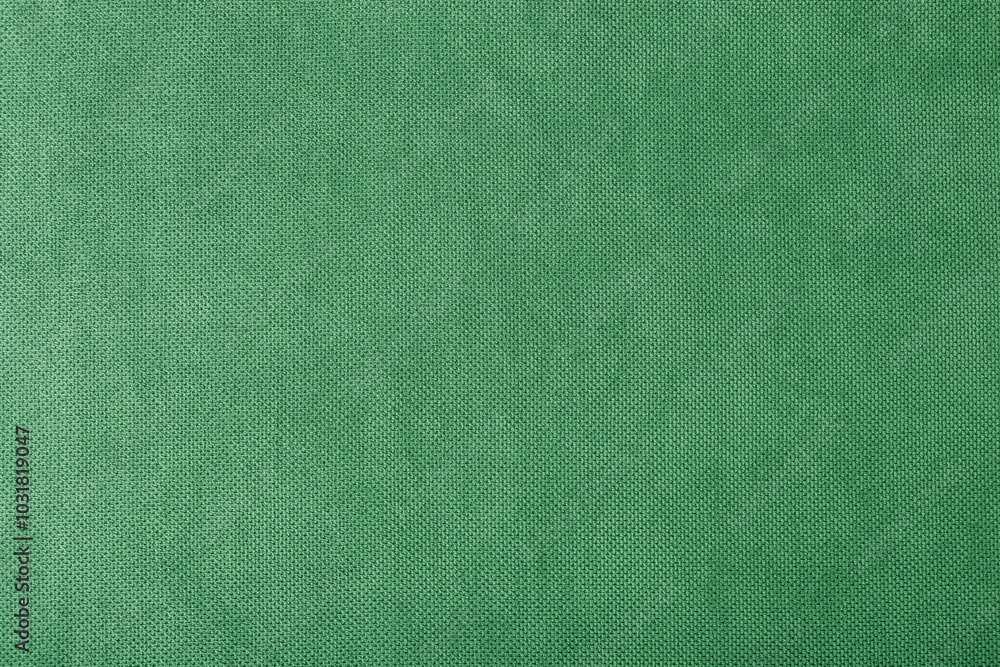 macro texture fabric of large binding for sewing green background color