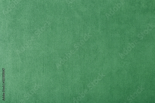 macro texture fabric of large binding for sewing green background color