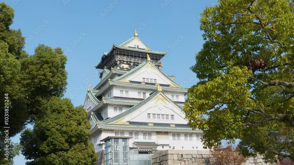 Osaka Castle Nestled Among Green Trees Under Blue Skies, Osaka, Japan Osaka Castle Nestled Among Green Trees Under Blue Skies, Osaka, Japan
