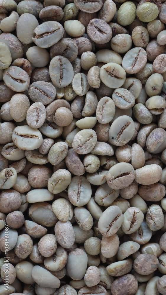 Rotating raw unroasted whole coffee Beans close up. Brown Robusta bean background. 4k vertical video Rotating raw unroasted whole coffee Beans close up. Brown Robusta bean background. 4k vertical video