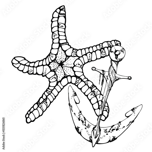 Starfish animal with anchor, Marine life, sea ocean underwater creatures animal, Ink and pen sketch hand drawn. Composition illustration, stylized isolated on white. Shop, aquarium, cosmetics, resort