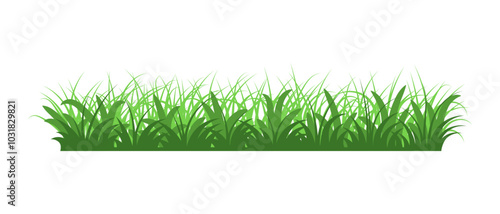 Fresh green grass vector illustration on transparent background.
