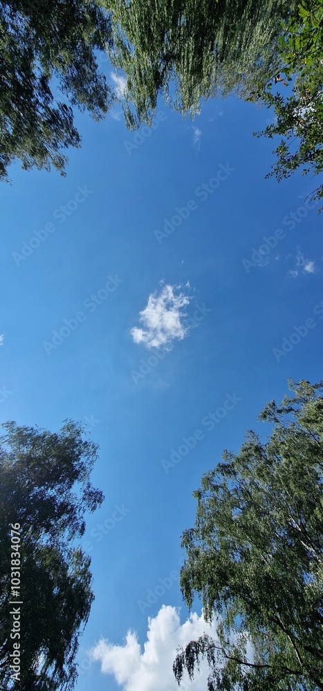 Obraz premium tiny cloud on the blue skies
