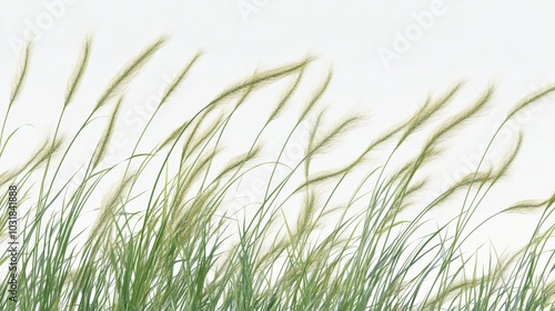 A close-up of wild grass with seed heads swaying in the breeze, each blade full of detailed textures.