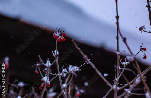 Winter landscapes in the village of Baranchinsky, Kushvinsky urban district, December 2023.