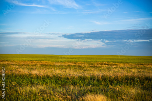 Steppe in the vicinity of North Kazakhstan and Kostanay regions, Kazakhstan. August 2024.