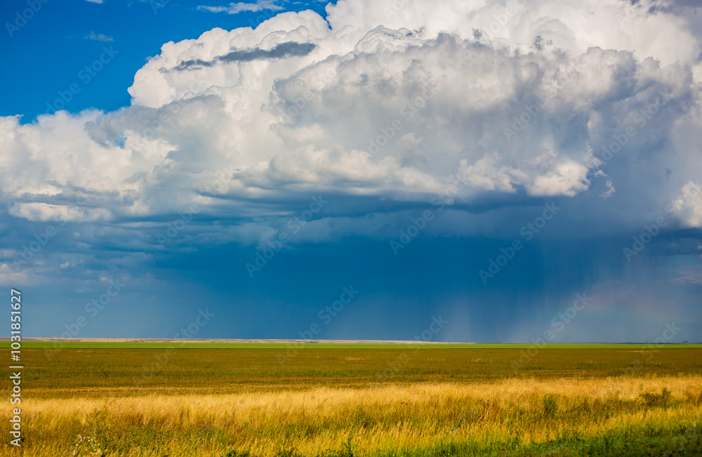 Obraz premium The endless steppes of Kazakhstan in the Akmola, Petropavlovsk and Kostanay regions. August, 2024.